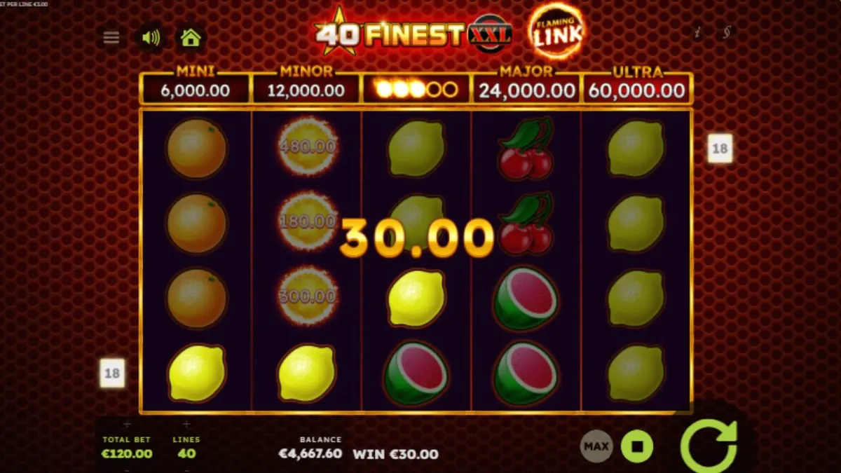 Tampilan visual slot 40 Finest XXL Flaming Link dengan elemen buah klasik dan api